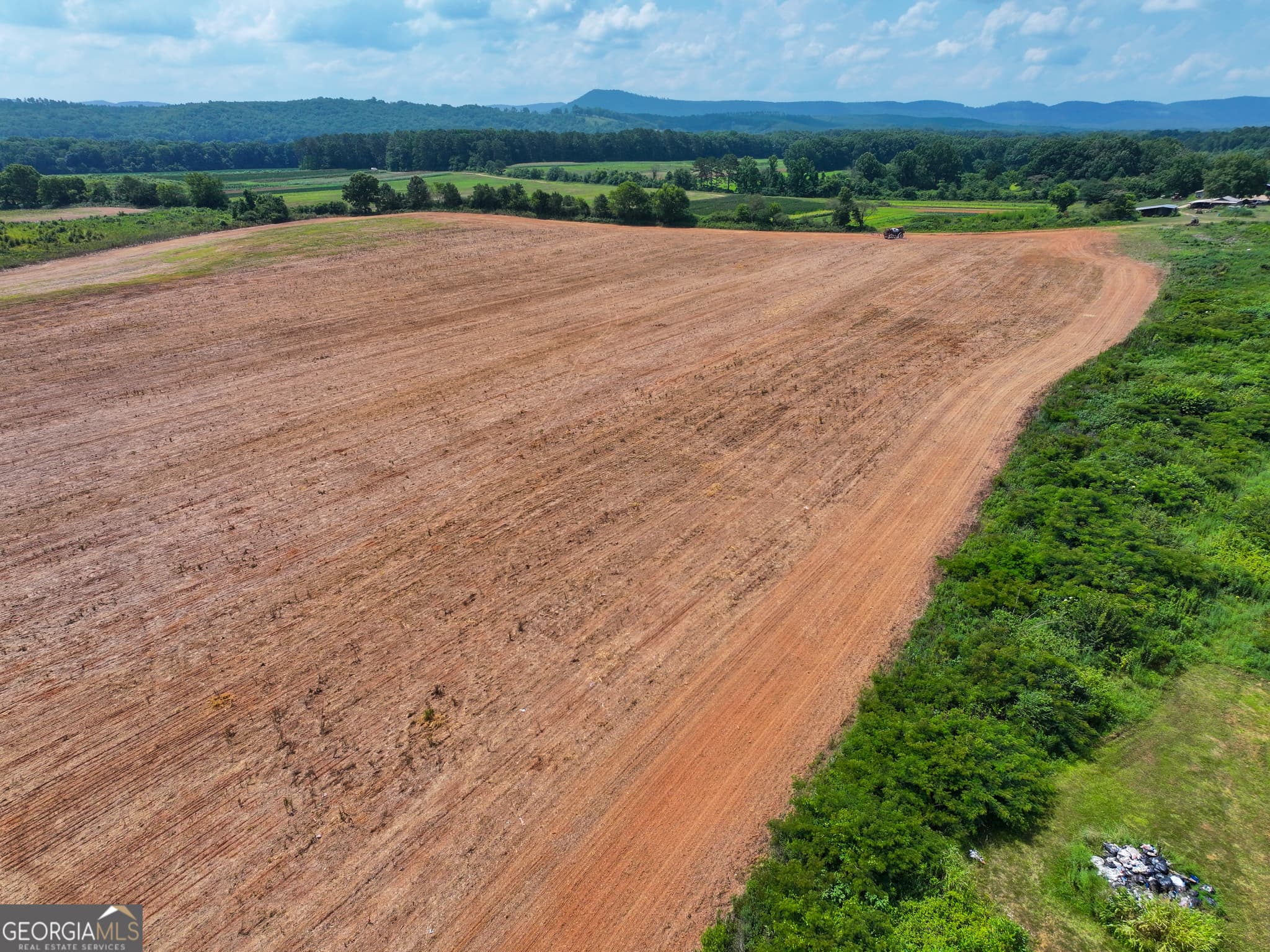 agriculture for sale at 44 +/- Acres on GA Hwy 114, Lyerly, GA 30730 — photo 5