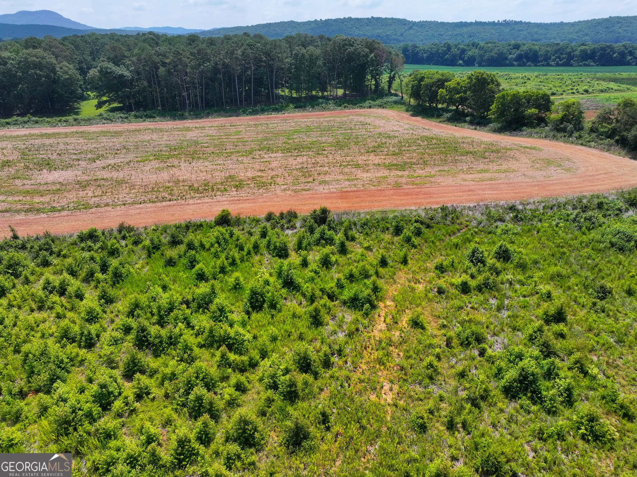 agriculture for sale at 44 +/- Acres on GA Hwy 114, Lyerly, GA 30730 — photo 10