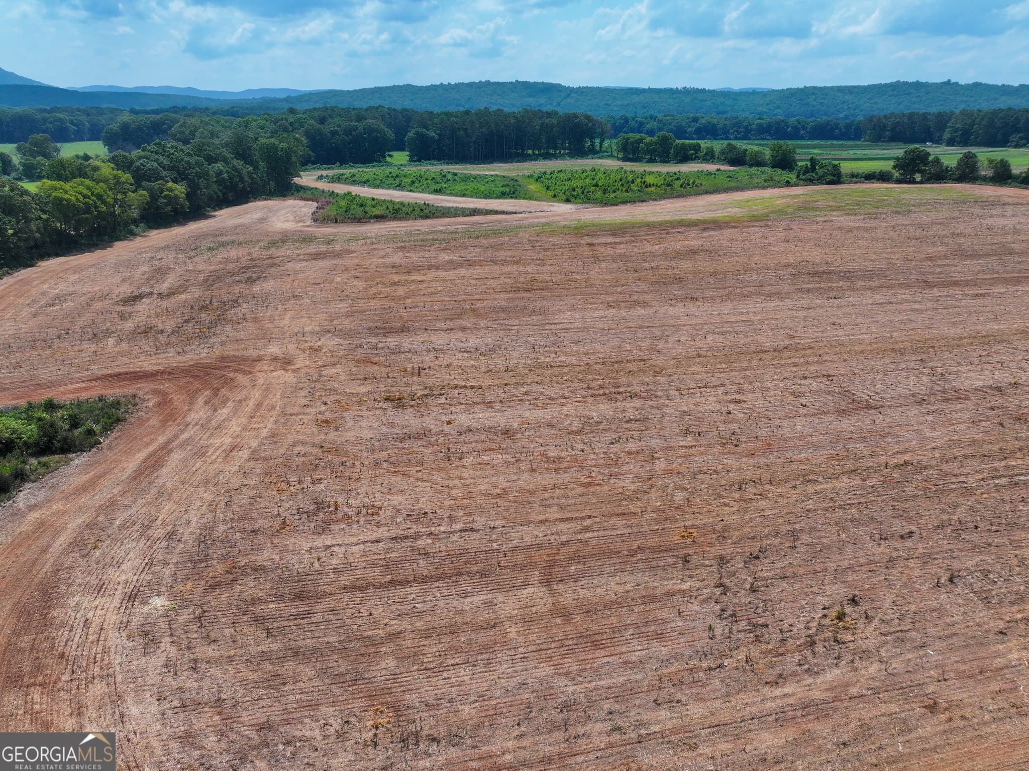 agriculture for sale at 44 +/- Acres on GA Hwy 114, Lyerly, GA 30730 — photo 8
