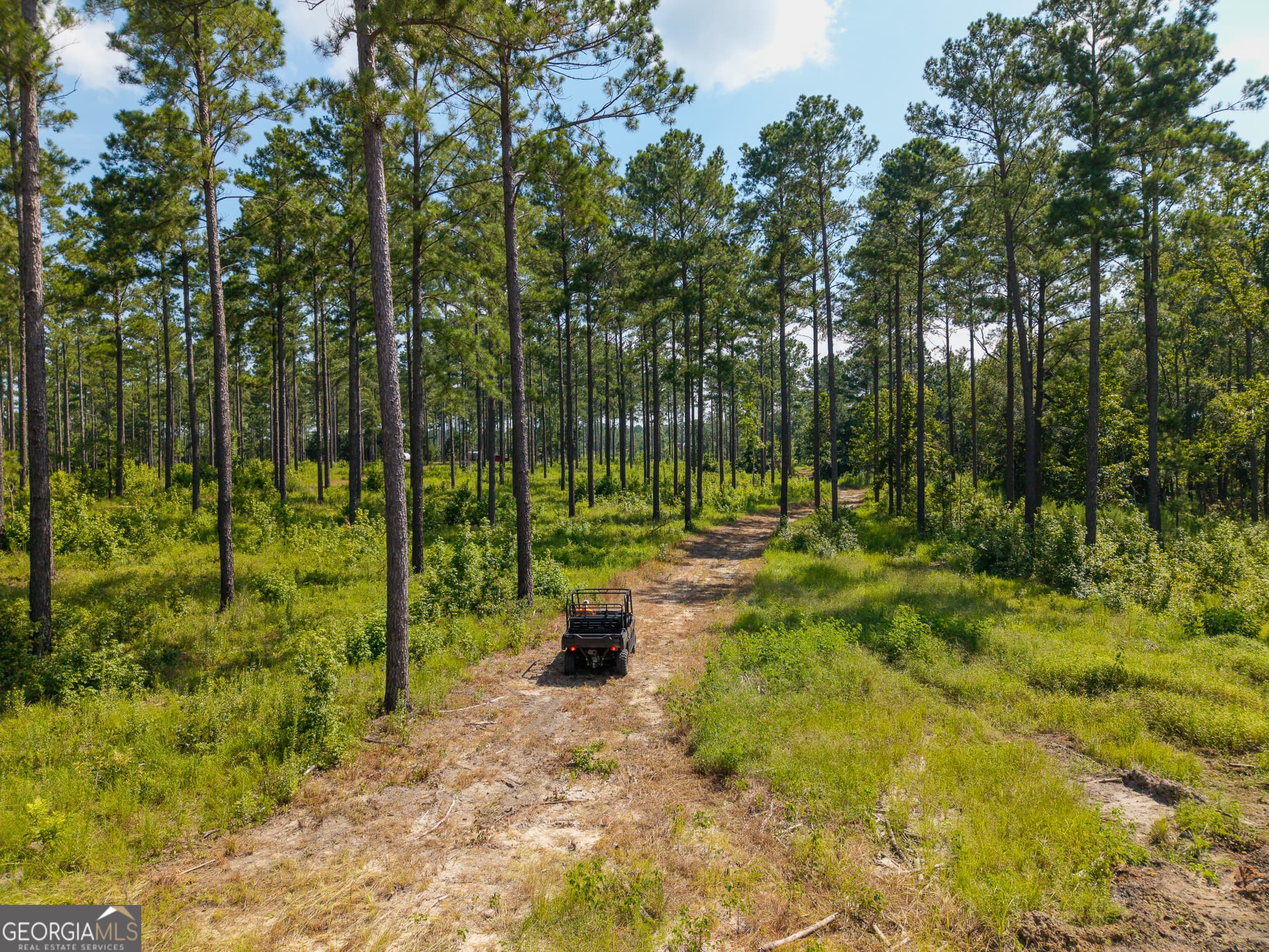 agriculture sold at 0 Henry Moxley Road, Cobbtown, GA 30420