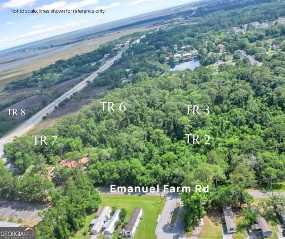 residential lot for sale at TR 6 Emanuel Farm Road, Brunswick, GA 31525 — photo 3