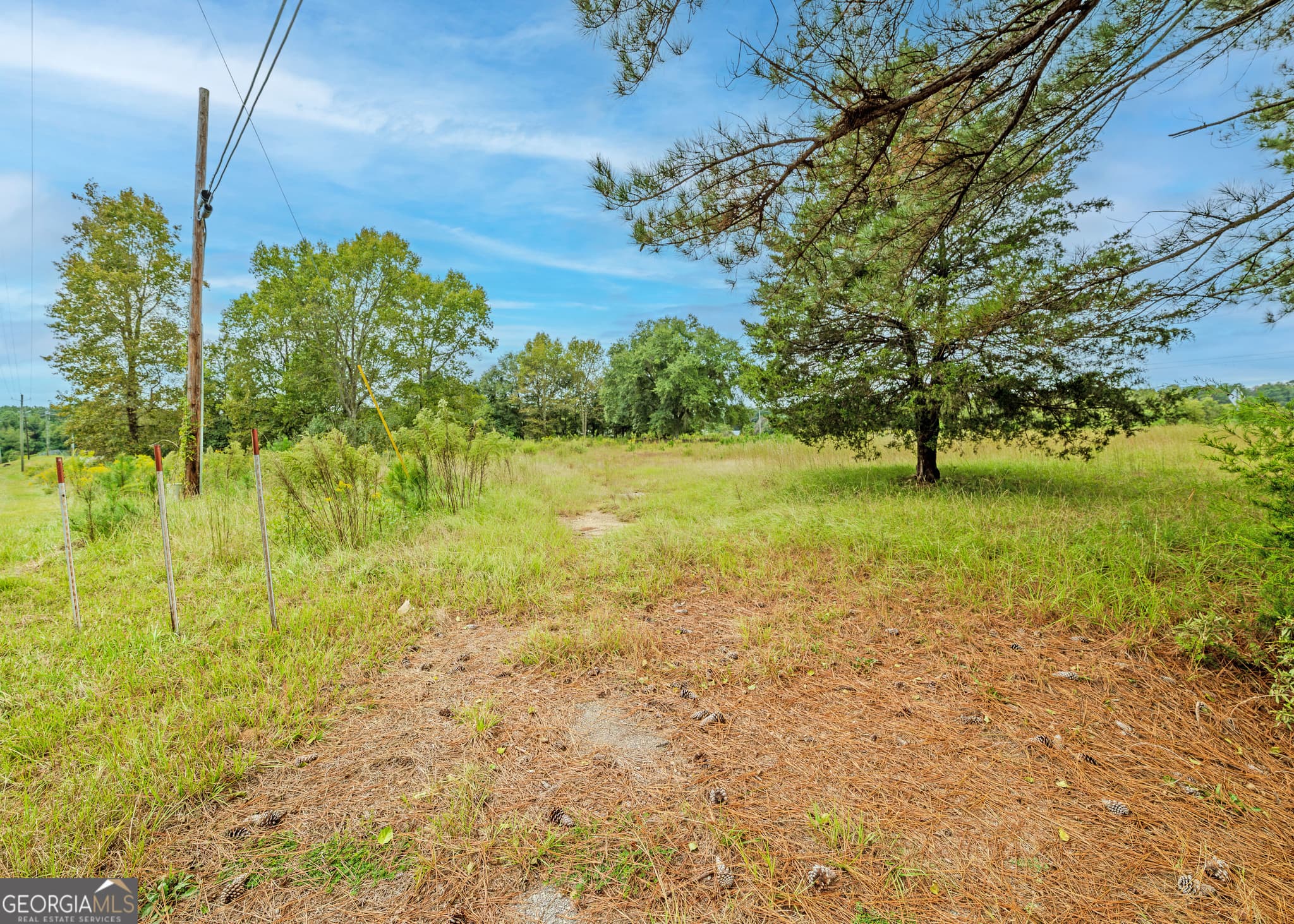 commercial for sale at TRACT 1.73 Highway 59, Lavonia, GA 30553 — photo 6