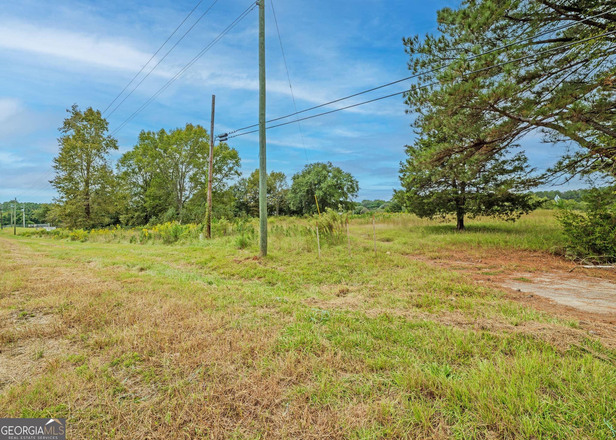 commercial for sale at TRACT 1.73 Highway 59, Lavonia, GA 30553 — photo 5