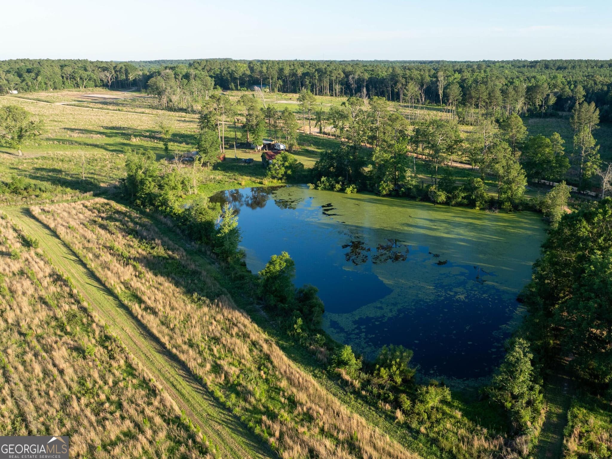 agriculture for sale at 006 Beulah Road TRACT 6, Sylvania, GA 30467 — photo 2