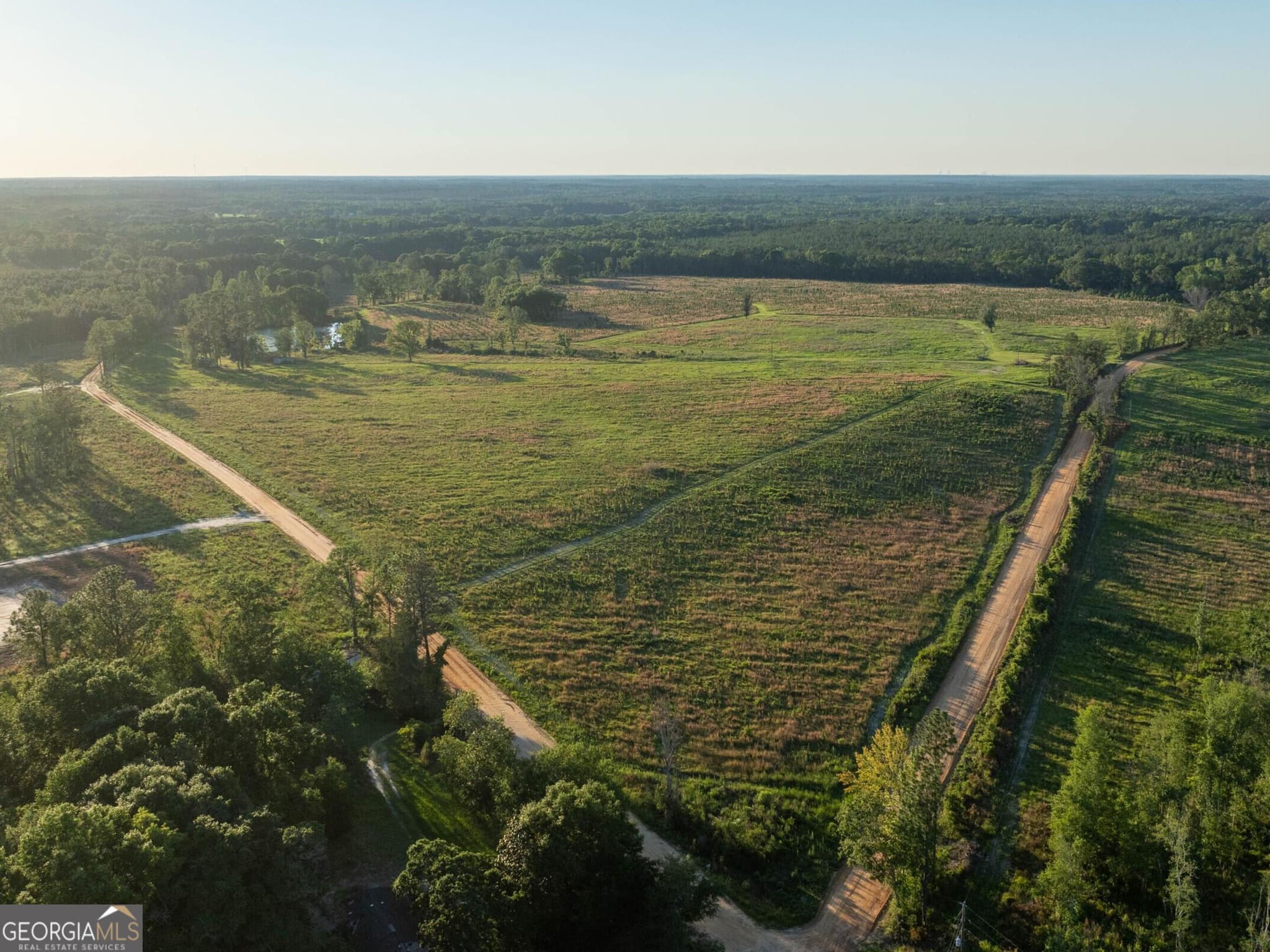 agriculture for sale at 006 Beulah Road TRACT 6, Sylvania, GA 30467 — photo 6
