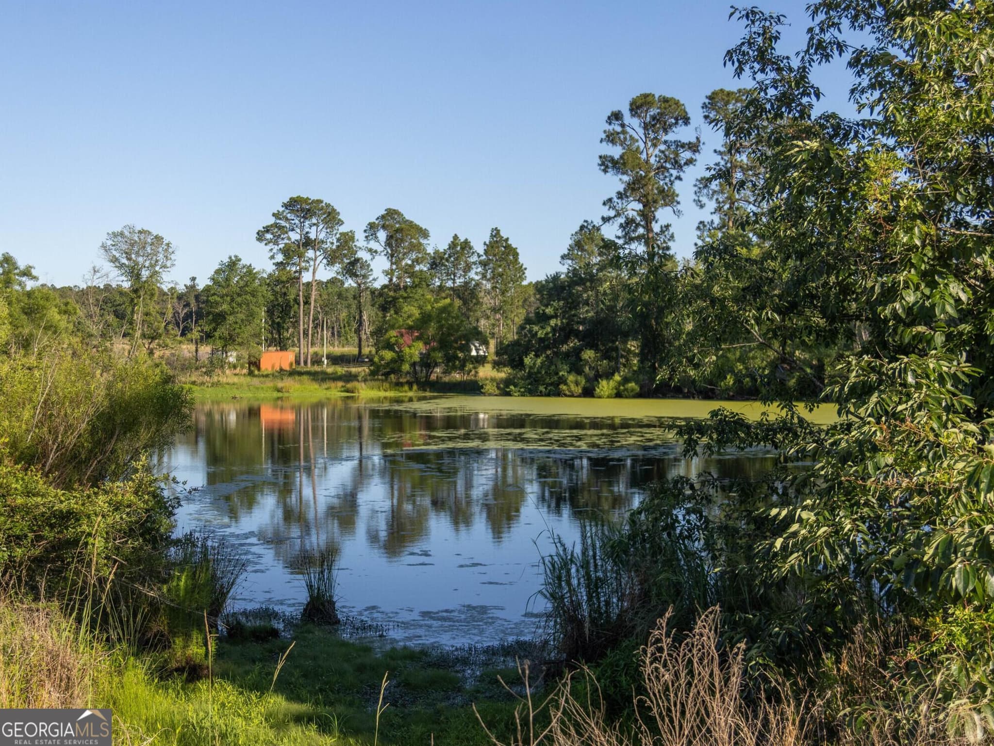 agriculture for sale at 006 Beulah Road TRACT 6, Sylvania, GA 30467 — photo 7