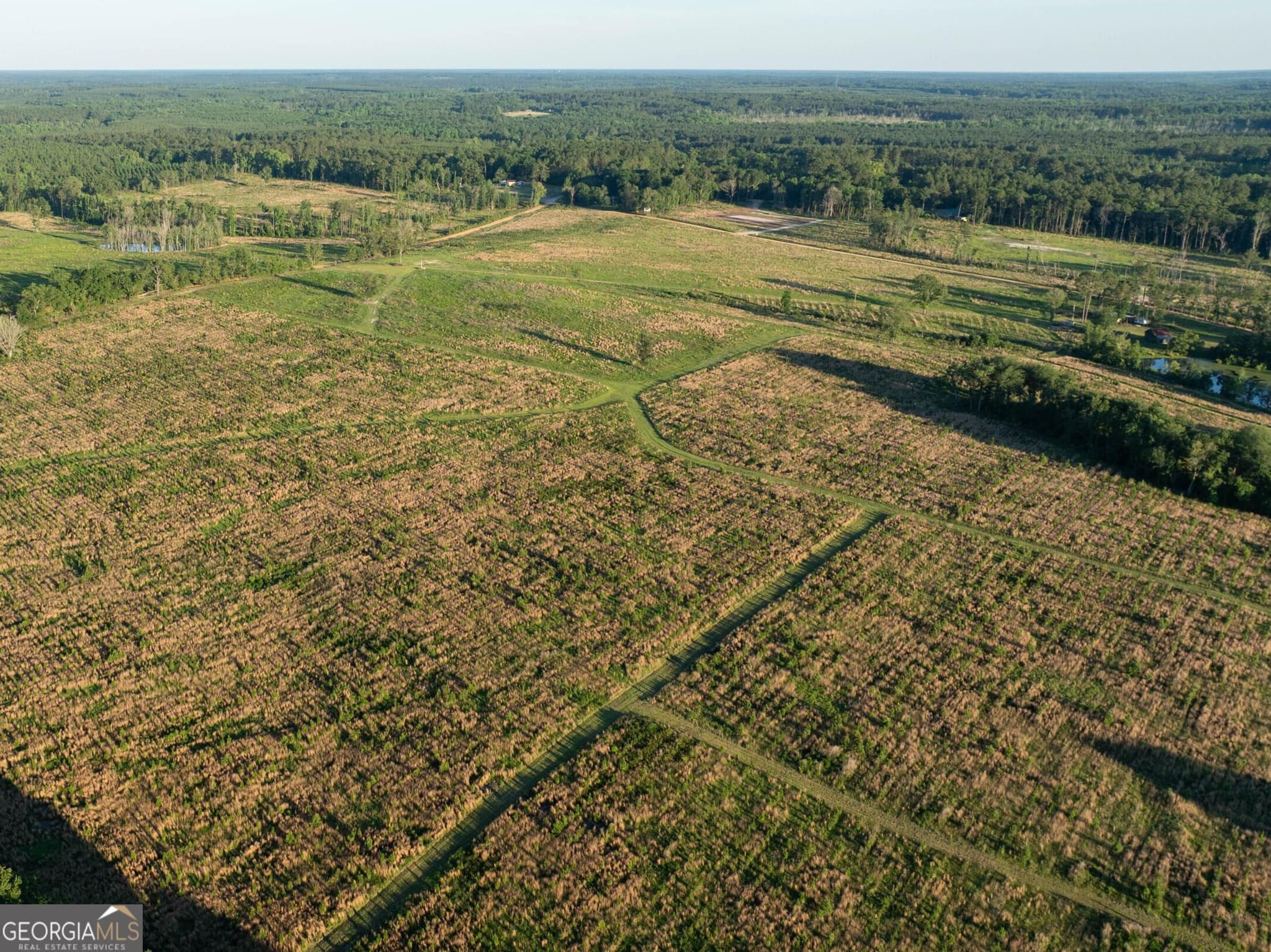 agriculture for sale at 006 Beulah Road TRACT 6, Sylvania, GA 30467 — photo 3