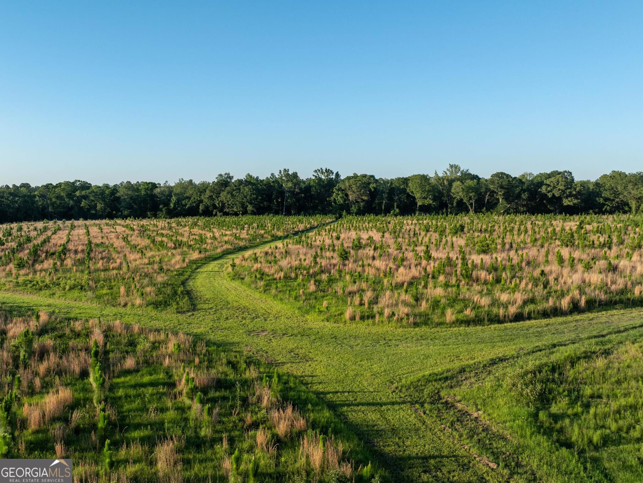 agriculture for sale at 006 Beulah Road TRACT 6, Sylvania, GA 30467