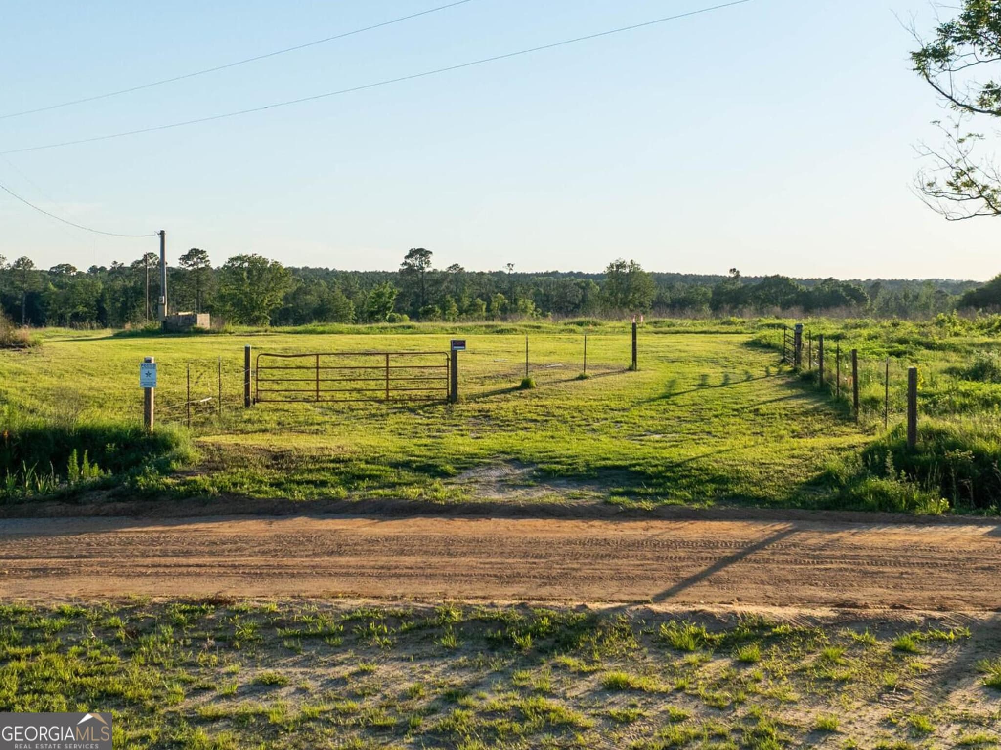 agriculture for sale at 006 Beulah Road TRACT 6, Sylvania, GA 30467 — photo 9