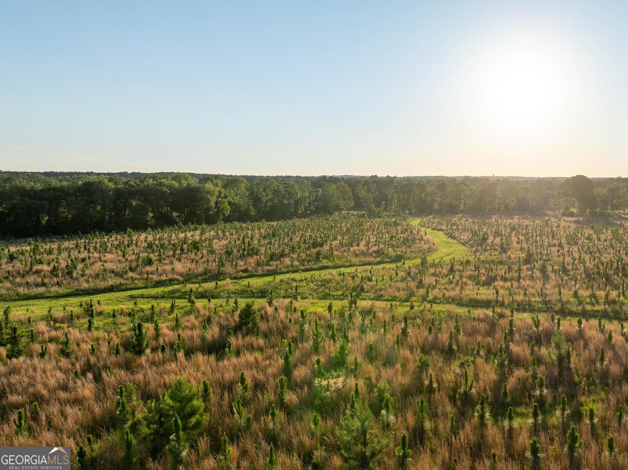 agriculture for sale at 006 Beulah Road TRACT 6, Sylvania, GA 30467 — photo 10