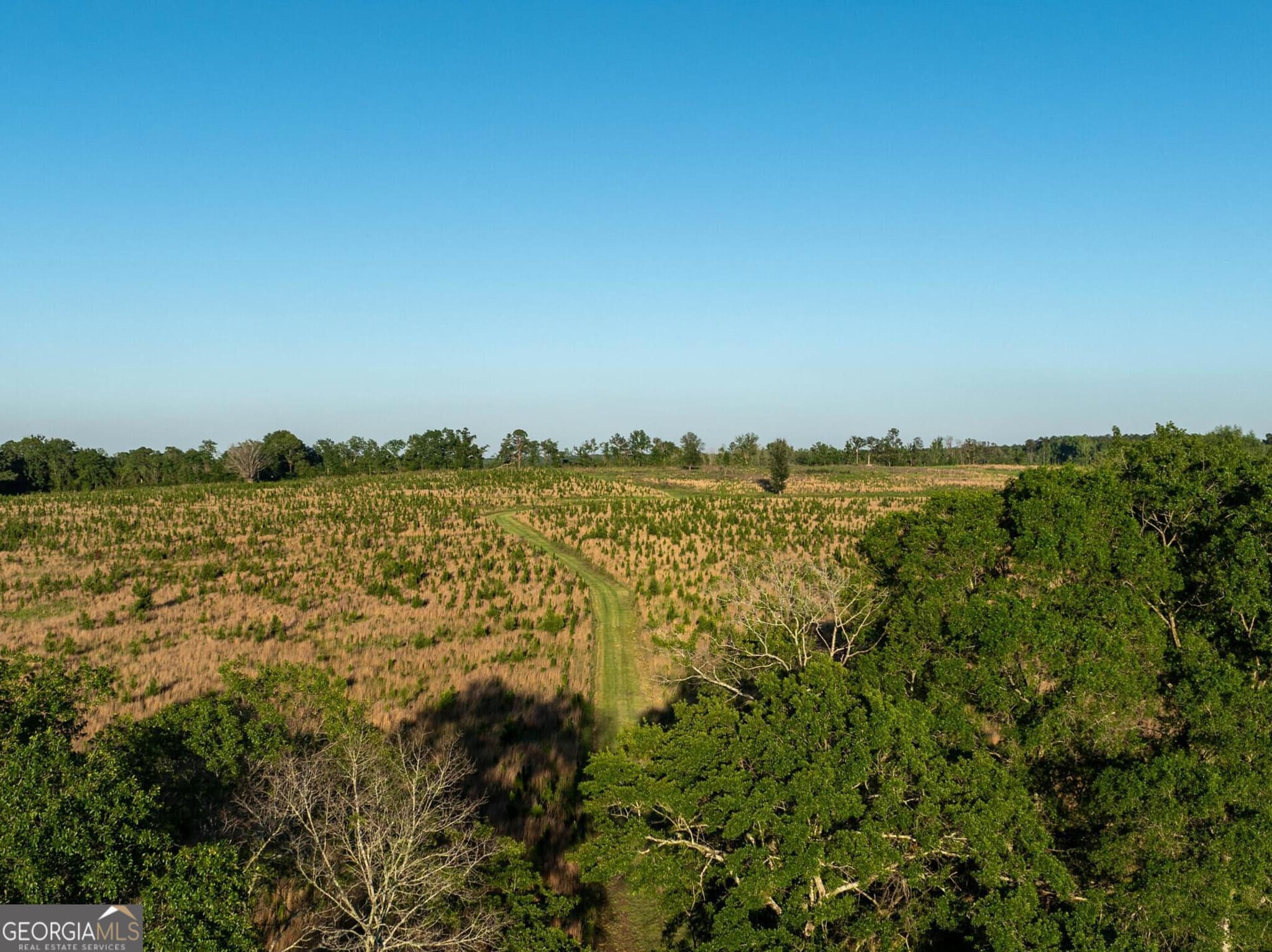 agriculture for sale at 006 Beulah Road TRACT 6, Sylvania, GA 30467 — photo 8