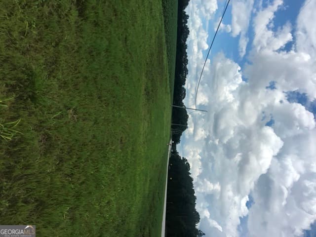 commercial for sale at 0 Us Highway 301, Claxton, GA 30417 — photo 2