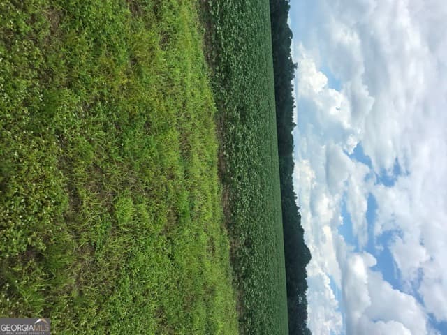 commercial for sale at 0 Us Highway 301, Claxton, GA 30417 — photo 6
