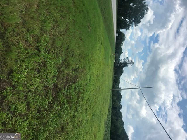 commercial for sale at 0 Us Highway 301, Claxton, GA 30417 — photo 7