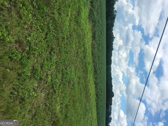 commercial for sale at 0 Us Highway 301, Claxton, GA 30417 — photo 3