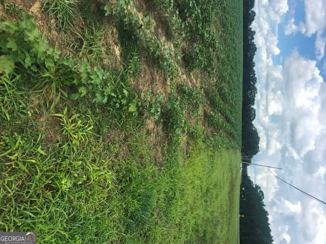 commercial for sale at 0 Us Highway 301, Claxton, GA 30417 — photo 5