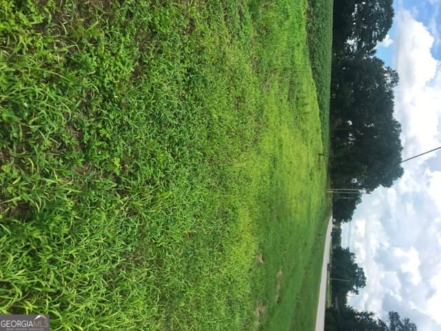 commercial for sale at 0 Us Highway 301, Claxton, GA 30417 — photo 9