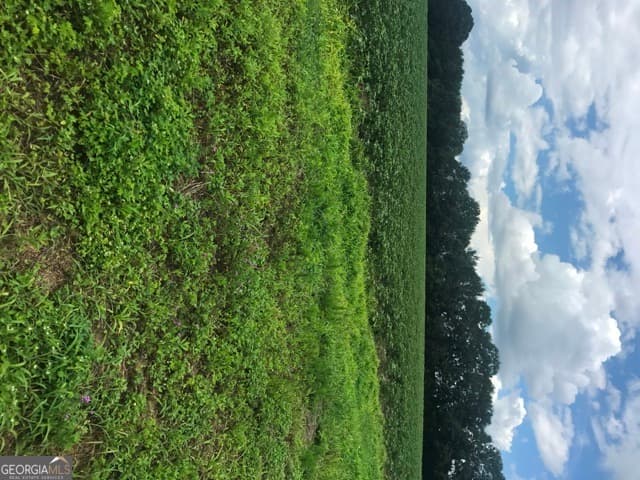 commercial for sale at 0 Us Highway 301, Claxton, GA 30417 — photo 10