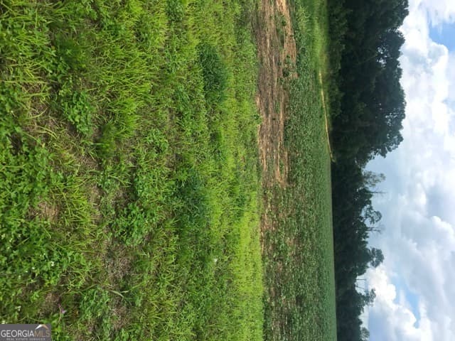 commercial for sale at 0 Us Highway 301, Claxton, GA 30417 — photo 4