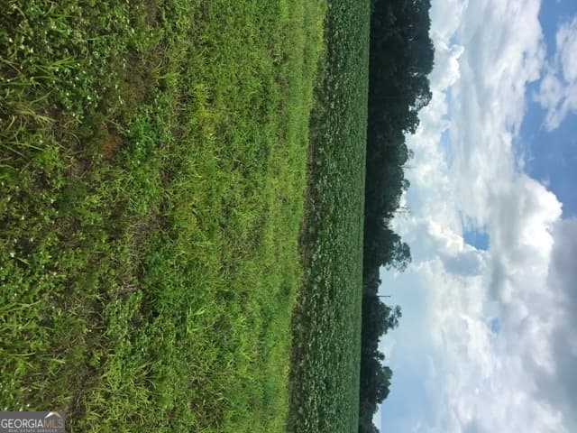 commercial for sale at 0 Us Highway 301, Claxton, GA 30417 — photo 8