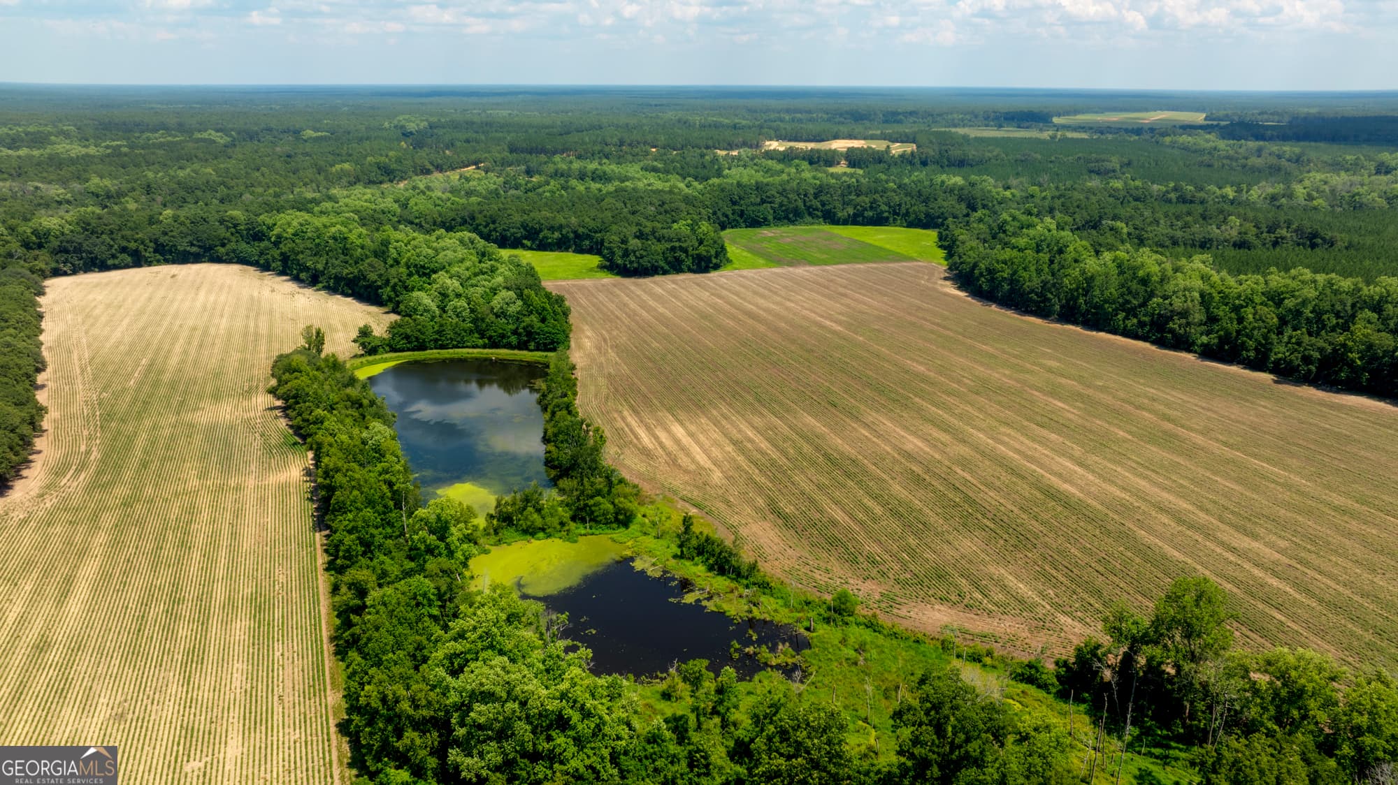 agriculture for sale at 0 Sunbury Road, Claxton, GA 30417 — photo 2