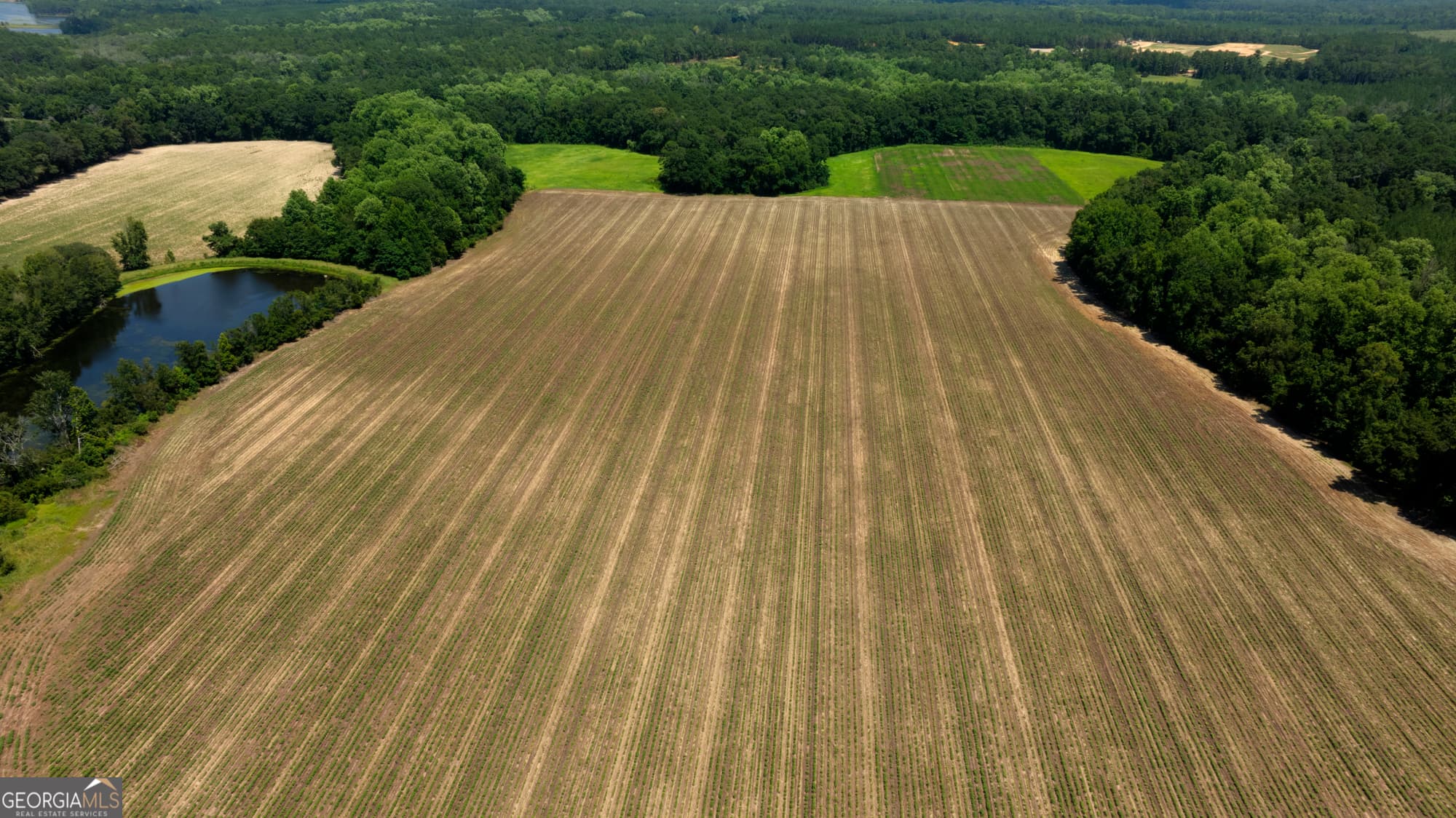 agriculture for sale at 0 Sunbury Road, Claxton, GA 30417 — photo 6