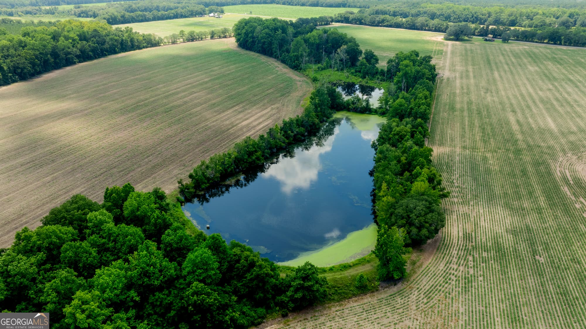agriculture for sale at 0 Sunbury Road, Claxton, GA 30417 — photo 7