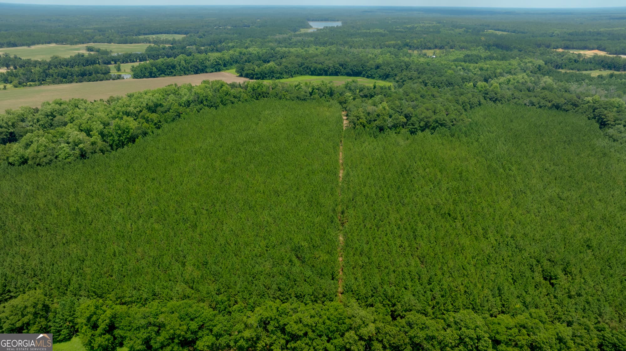 agriculture for sale at 0 Sunbury Road, Claxton, GA 30417 — photo 3