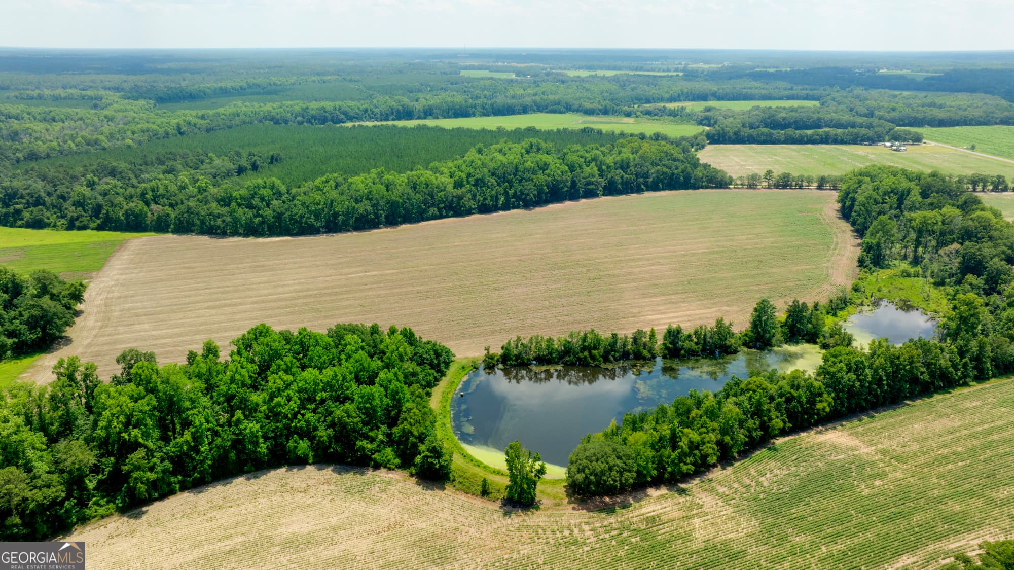 agriculture for sale at 0 Sunbury Road, Claxton, GA 30417
