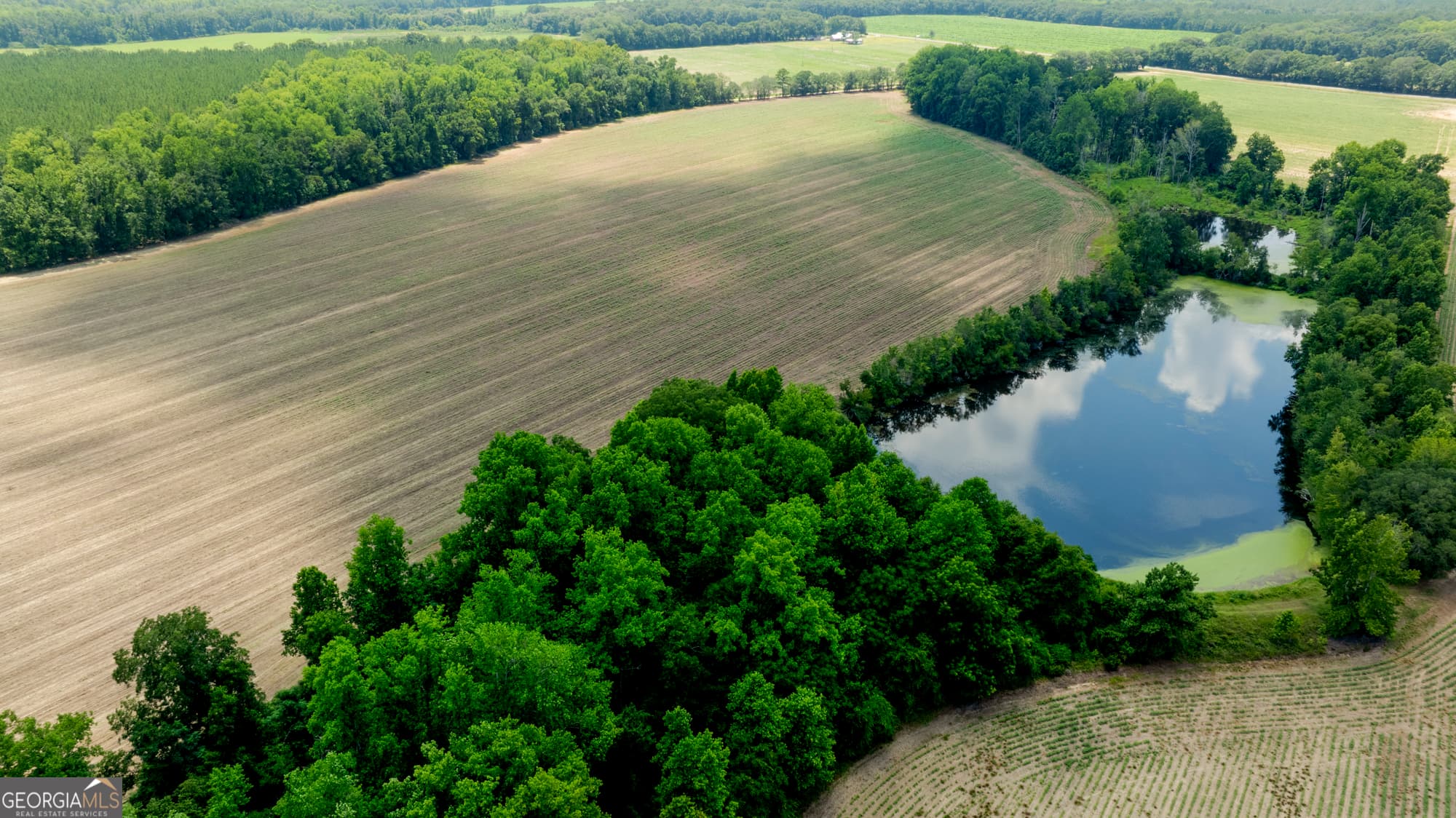 agriculture for sale at 0 Sunbury Road, Claxton, GA 30417 — photo 5