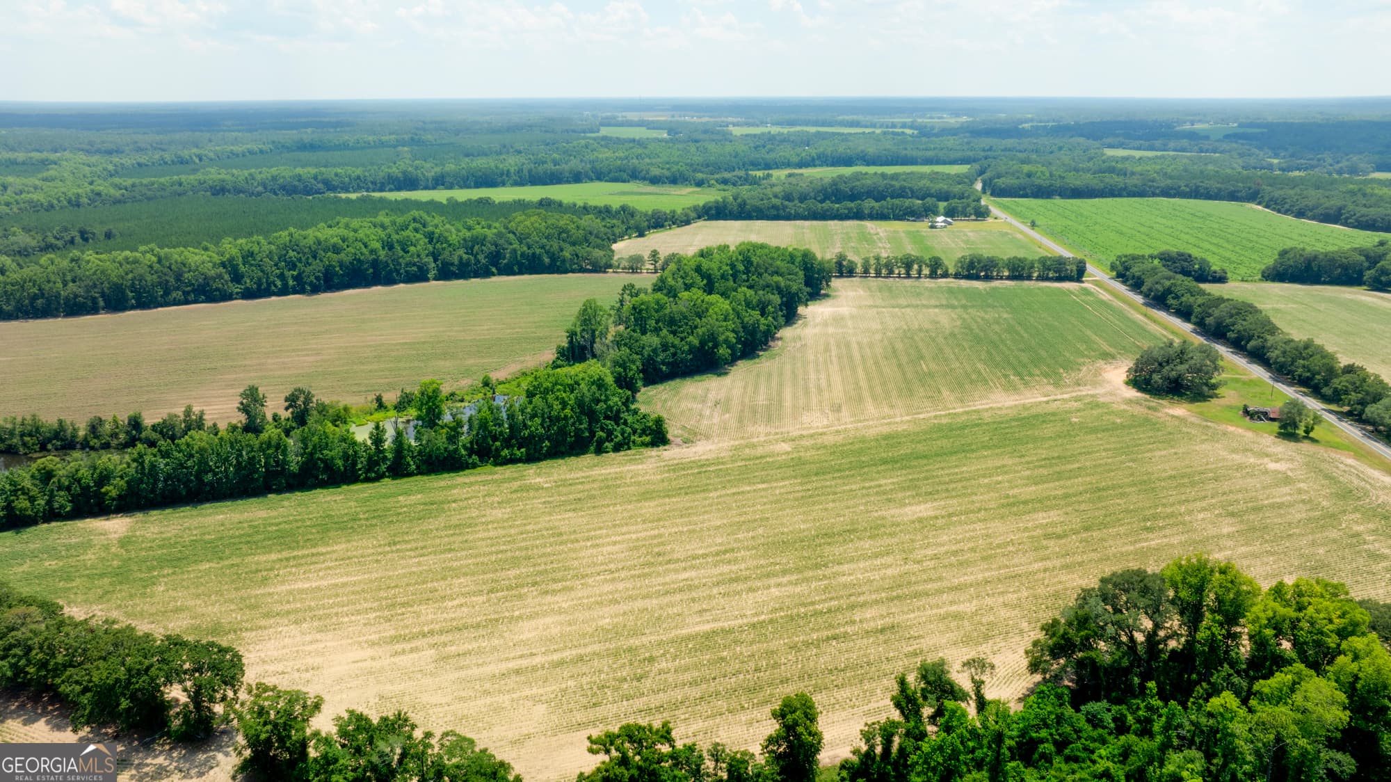 agriculture for sale at 0 Sunbury Road, Claxton, GA 30417 — photo 9