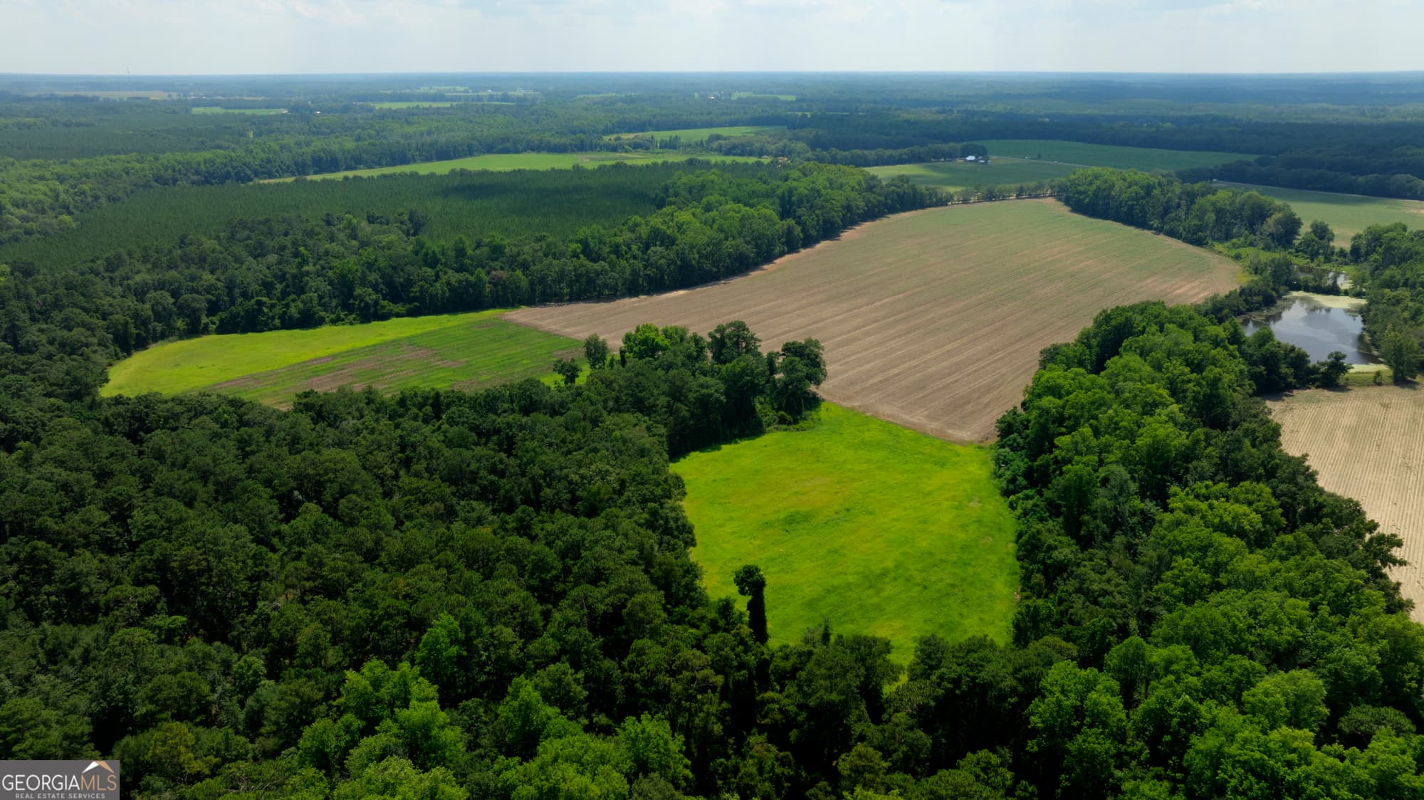agriculture for sale at 0 Sunbury Road, Claxton, GA 30417 — photo 10