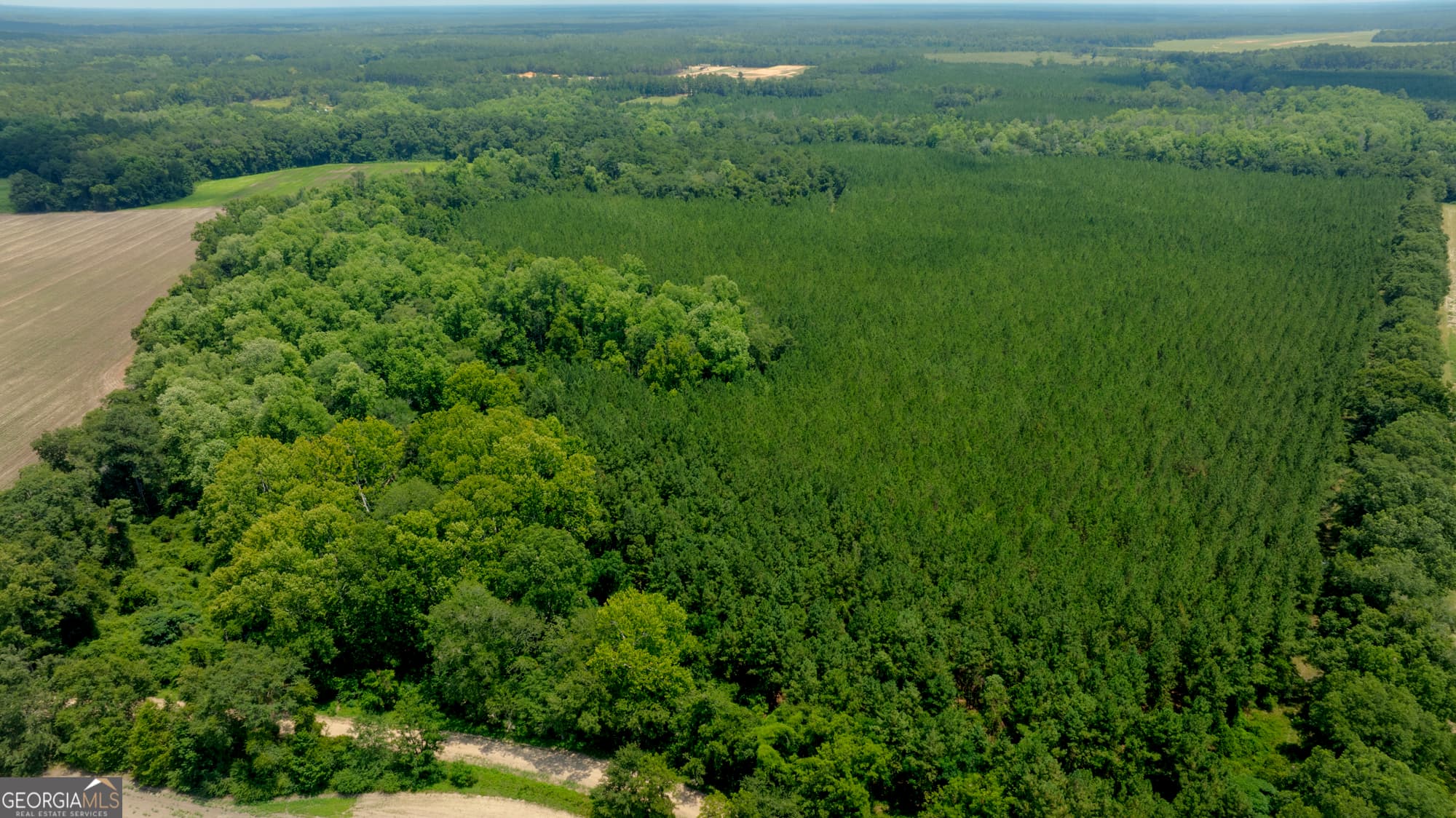 agriculture for sale at 0 Sunbury Road, Claxton, GA 30417 — photo 4