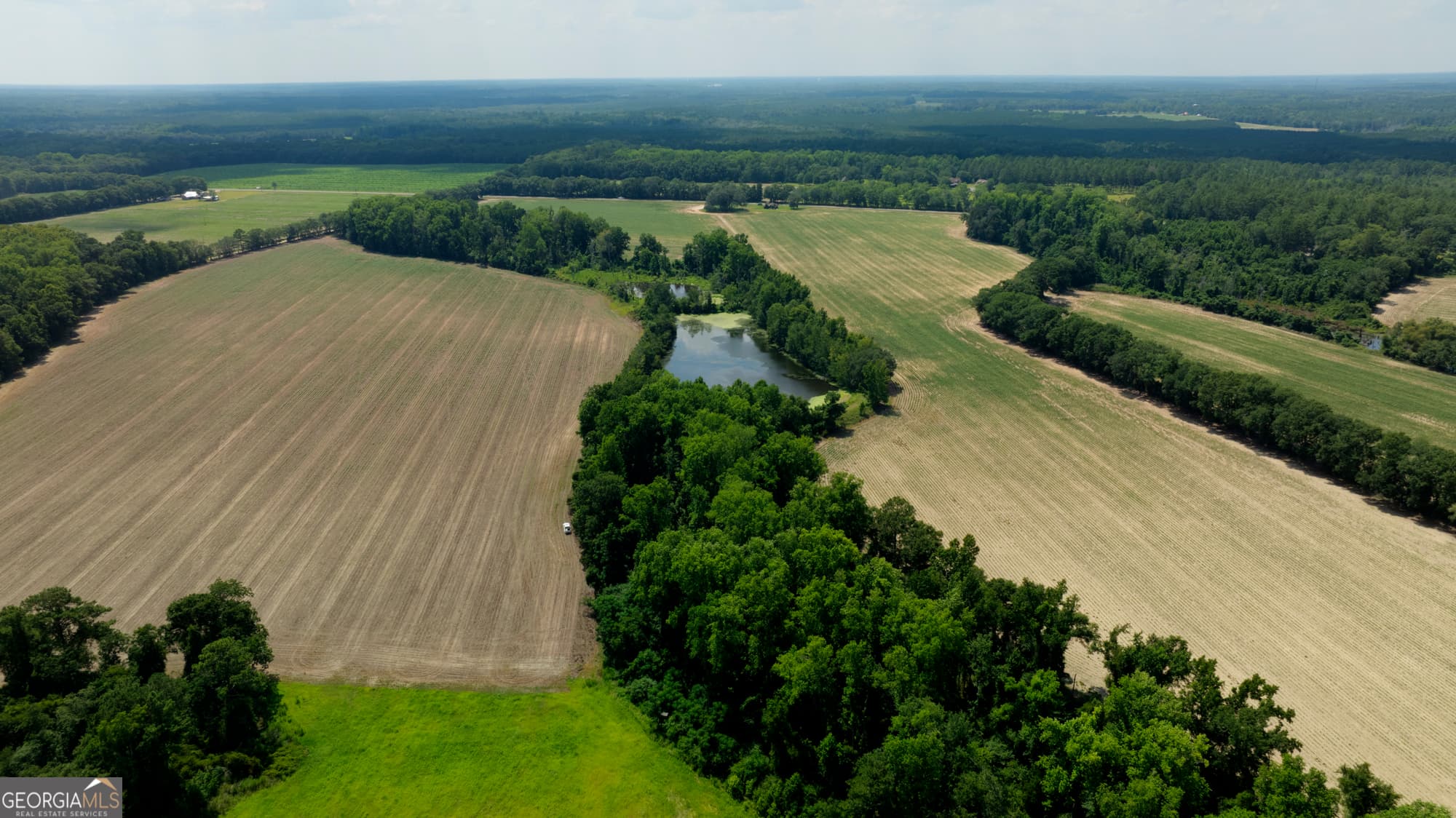 agriculture for sale at 0 Sunbury Road, Claxton, GA 30417 — photo 8