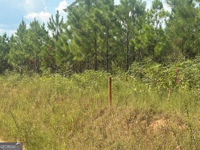 agriculture for sale at 0 Cook Road TRACT #6, Monticello, GA 31064 — photo 2