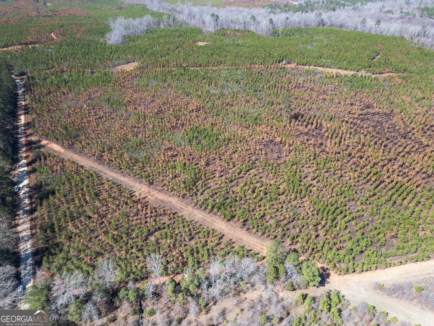 agriculture for sale at 0 Cook Road TRACT #6, Monticello, GA 31064 — photo 7