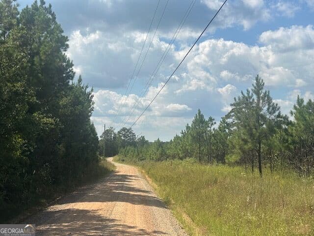 agriculture for sale at 0 Cook Road TRACT #6, Monticello, GA 31064 — photo 3