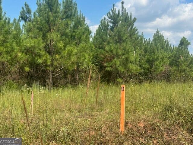 agriculture for sale at 0 Cook Road TRACT #6, Monticello, GA 31064