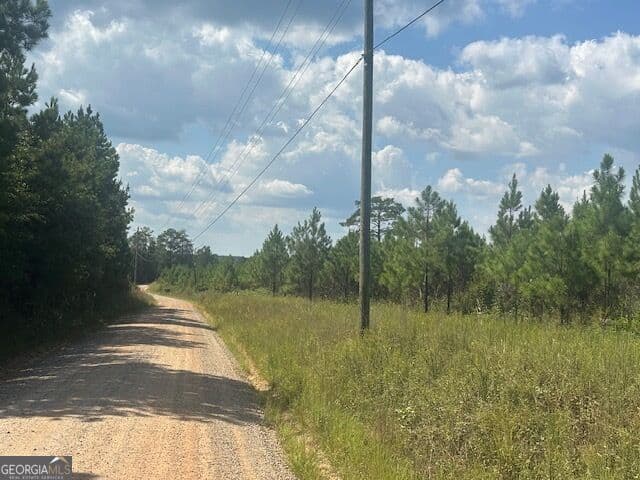 agriculture for sale at 0 Cook Road TRACT #6, Monticello, GA 31064 — photo 5