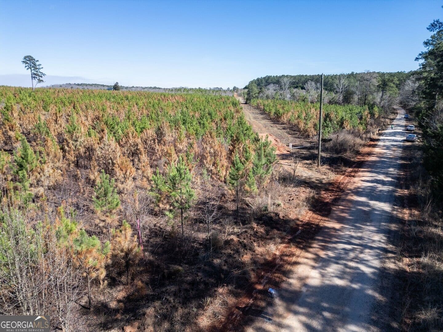 agriculture for sale at 0 Cook Road TRACT #6, Monticello, GA 31064 — photo 10