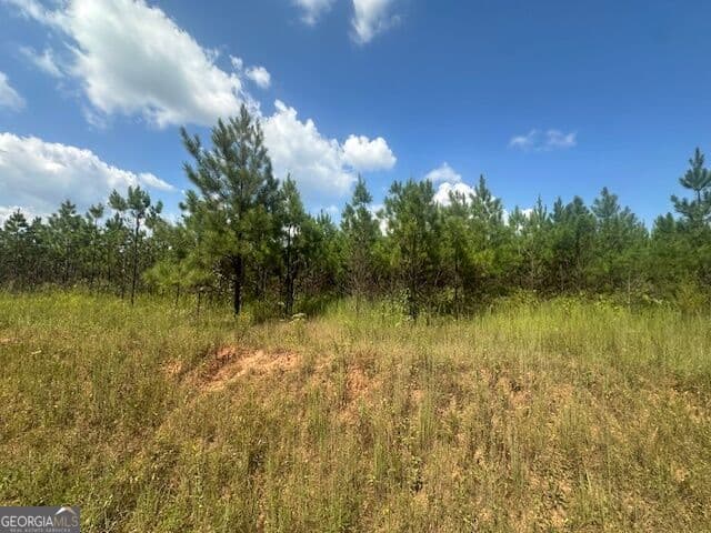 agriculture for sale at 0 Cook Road TRACT #6, Monticello, GA 31064 — photo 4