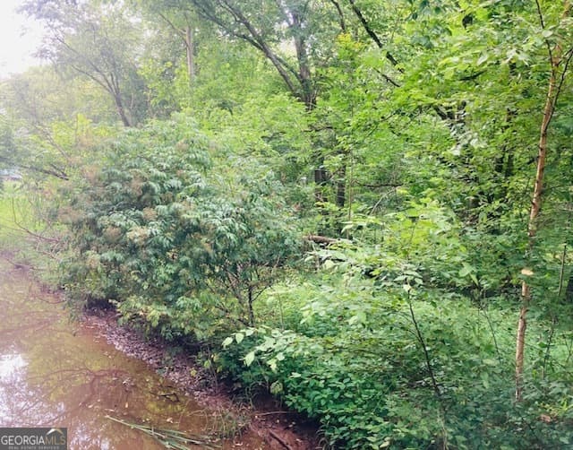 residential lot for sale at LOT 34 Twilight Shores Road, Eatonton, GA 31024 — photo 7