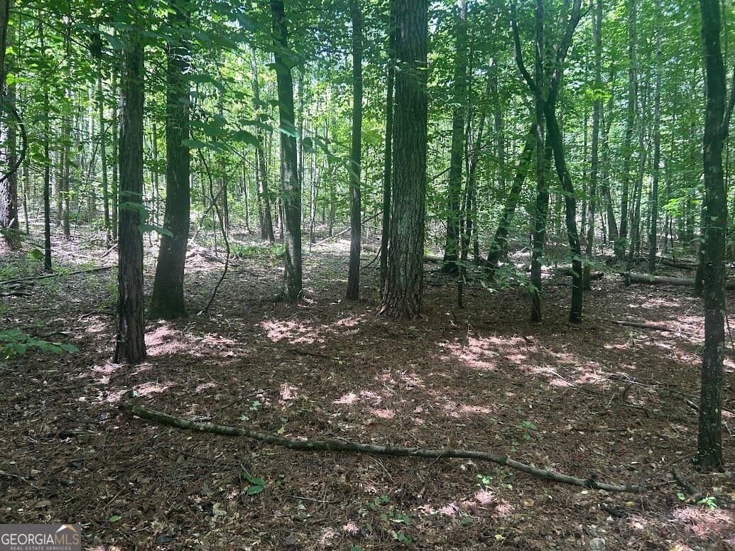 agriculture for sale at 111 RiverSong (TRACT 26), Carrollton, GA 30117 — photo 2