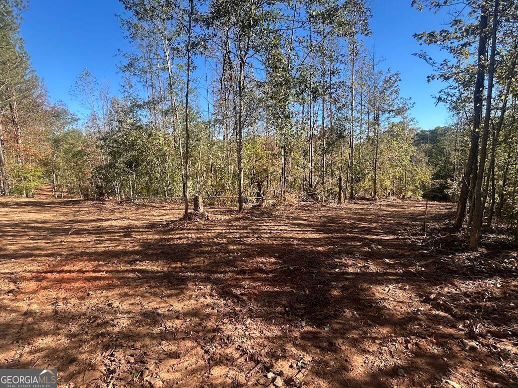 agriculture for sale at 111 RiverSong (TRACT 26), Carrollton, GA 30117 — photo 6