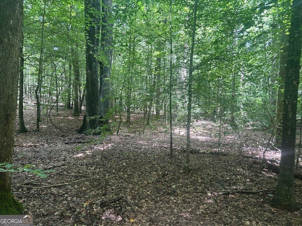 agriculture for sale at 111 RiverSong (TRACT 26), Carrollton, GA 30117 — photo 1 of 12