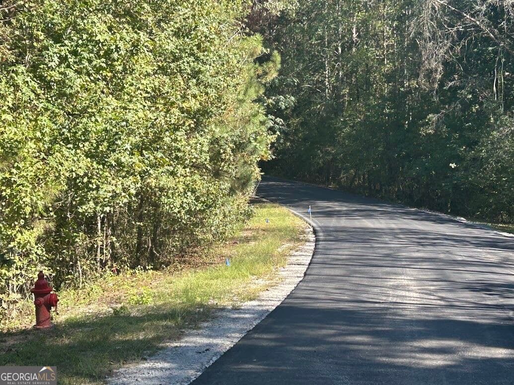 agriculture for sale at 111 RiverSong (TRACT 26), Carrollton, GA 30117 — photo 5