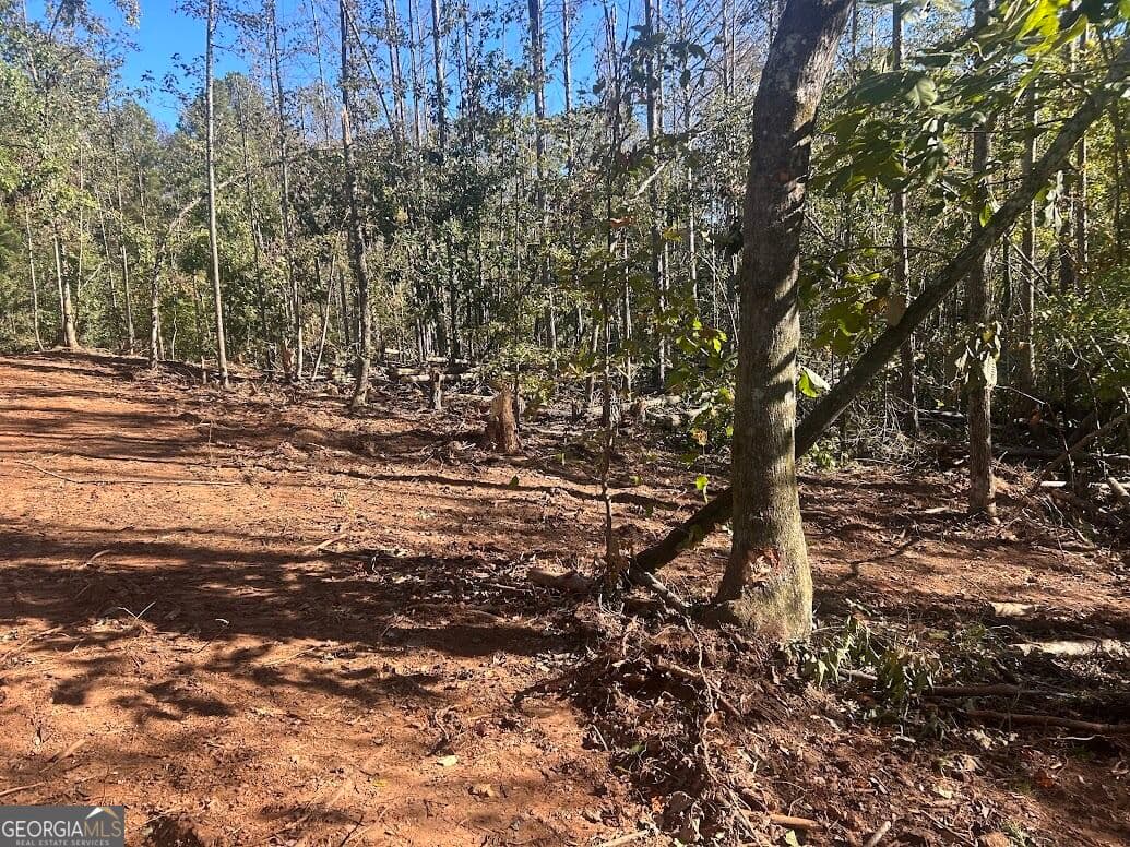 agriculture for sale at 111 RiverSong (TRACT 26), Carrollton, GA 30117 — photo 10