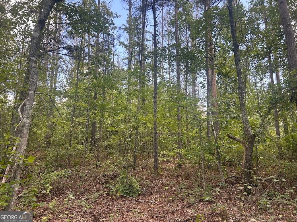 agriculture for sale at 111 RiverSong (TRACT 26), Carrollton, GA 30117 — photo 4