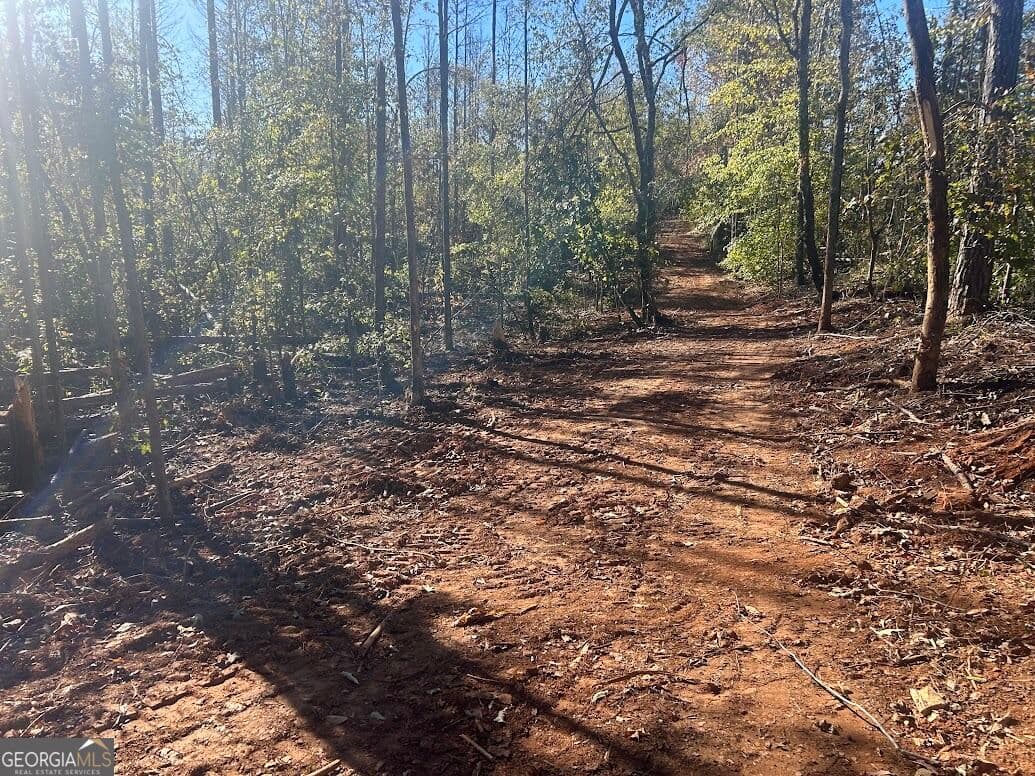 agriculture for sale at 111 RiverSong (TRACT 26), Carrollton, GA 30117 — photo 8