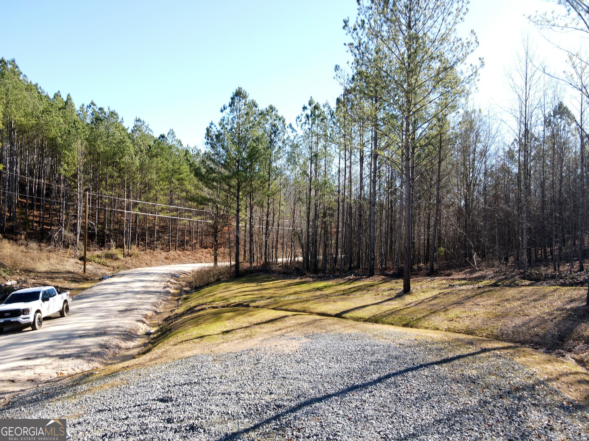 agriculture for sale at 0 County Road 62, Gaylesville, AL 35973 — photo 2